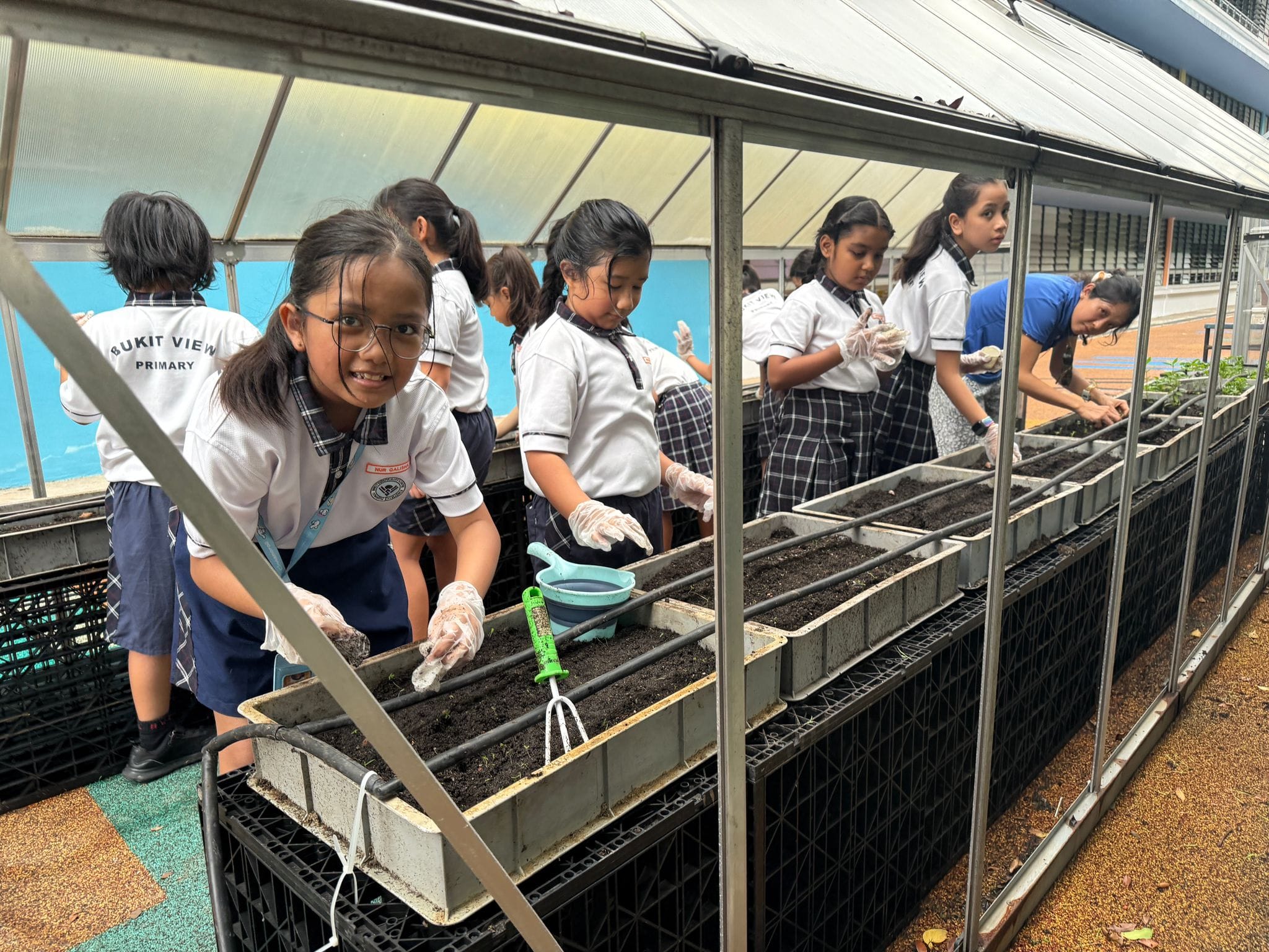 Student participating in the Edible Greens programme